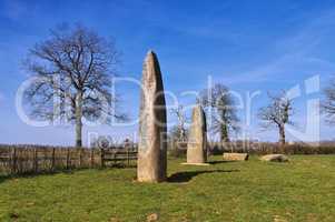 Alignement von Couches - Menhirs d Epoigny in France