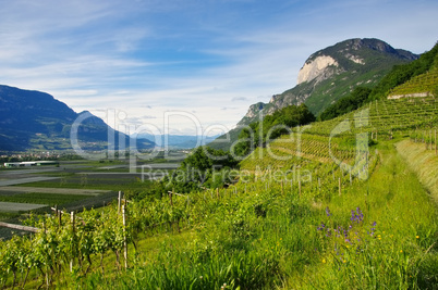 Trentino - Trentino landscape in Italy
