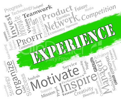 Experience Words Indicates Know How And Competence