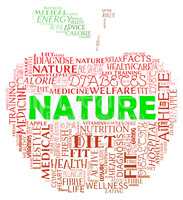 Nature Apple Indicates Environment Green And Fruits
