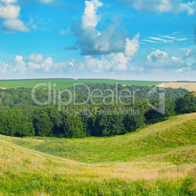 picturesque hills, forest and blue sky