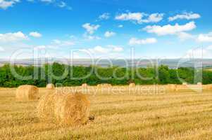 Straw bales on a wheat field and blue sky