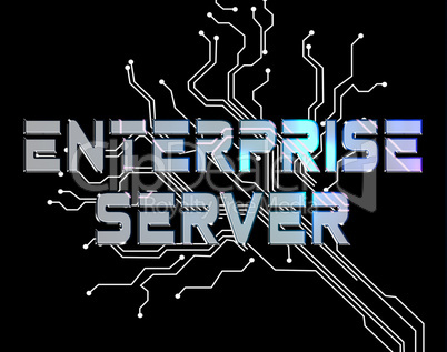 Enterprise Server Means Online Network And Businesses