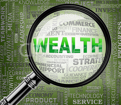 Wealth Magnifier Indicates Searches Richness And Affluence