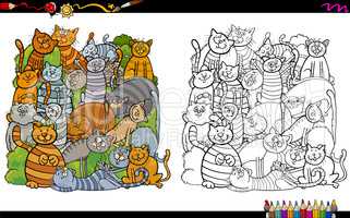 cat characters coloring book