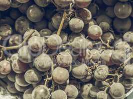Red grape fruits vintage desaturated