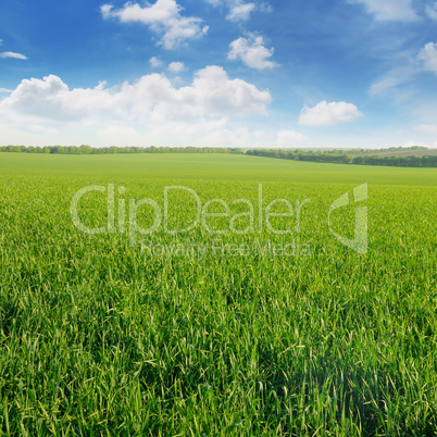 green field and blue sky with clouds