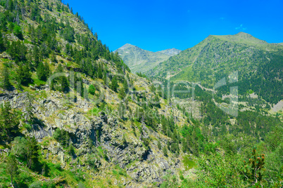 Mountains covered with forest