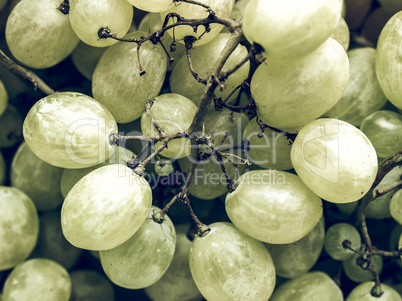 Grape picture vintage desaturated