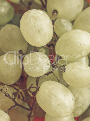 Grape vintage desaturated