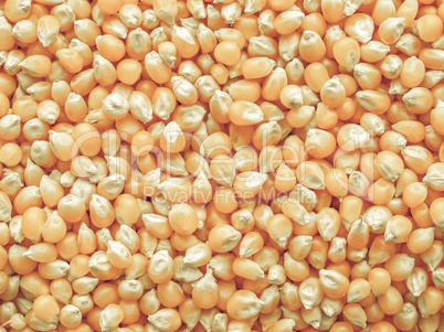 Maize corn vintage desaturated