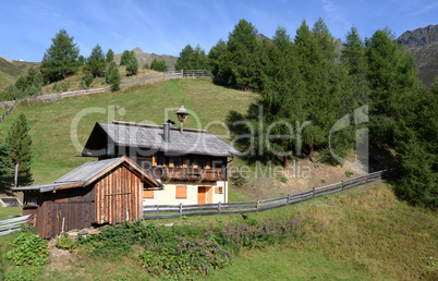 Almwiesen bei Sölden