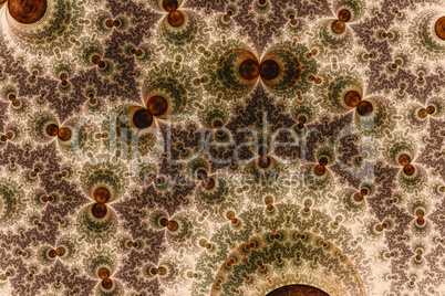 Abstract image: "Braided fractal"