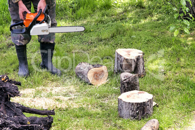 People at work: man sawing trees.