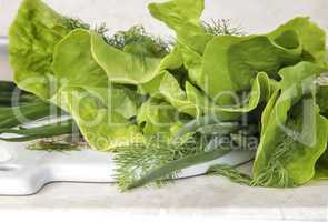 Vegetables: green onions, lettuce and dill