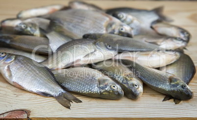 Fish hooked in the river on a table surface.