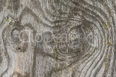 Weathered wooden plate.