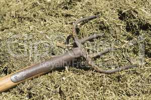 Traditional manure fork on a bale of cattle feed.