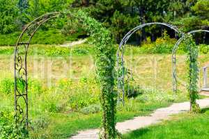 decorative metal arch for climbing plants in city park