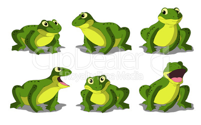 Light Green Frog Isolated on White Background