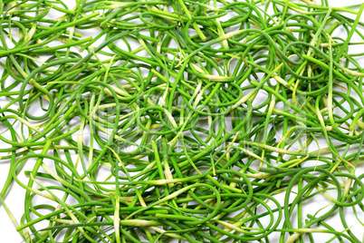 Background of fresh garlic scape