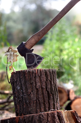 Axe in oak stump