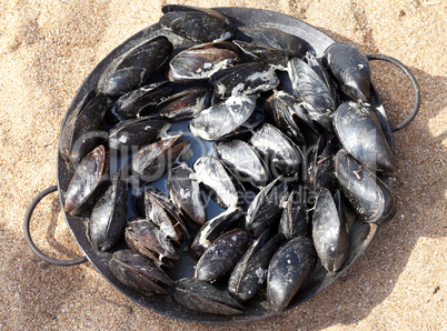 Freshly cooked mussels in metal tray on sand beach