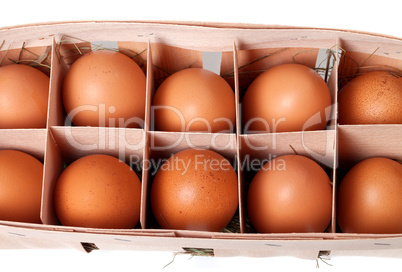 Brown eggs in eco box