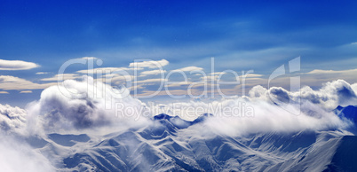 Panoramic view on Christmas landscape with falling snow