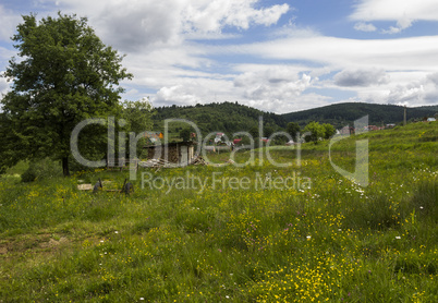 rural meadow