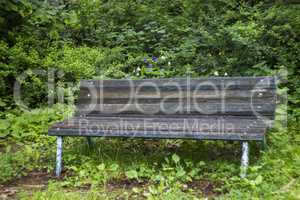 abandoned bench