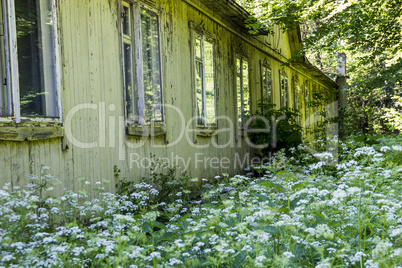 abandoned wooden house