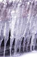 Cold winter day with many icicle