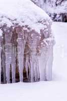 Cold winter day with many icicle