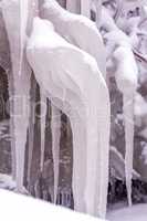Cold winter day with many icicle