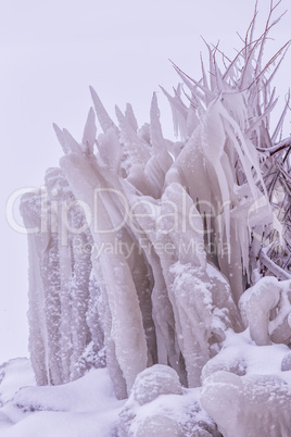 Cold winter day with many icicle on the bush