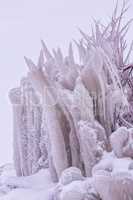 Cold winter day with many icicle on the bush