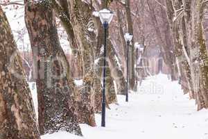 Alley in snowy a day from Hungary