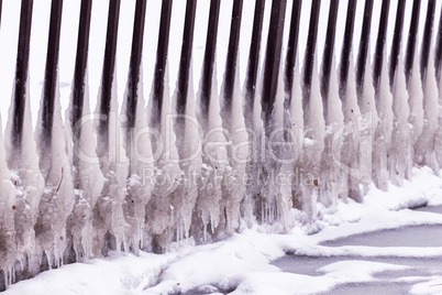 Cold winter day with many icicle on the fence