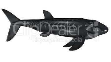 Leedsichthys prehistoric fish - 3D render