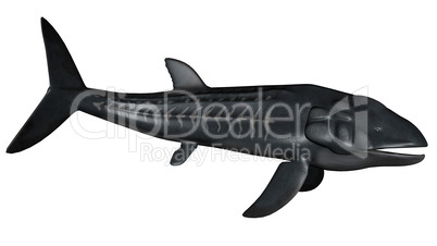 Leedsichthys prehistoric fish - 3D render