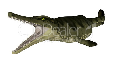 Metriorhynchus prehistoric fish - 3D render