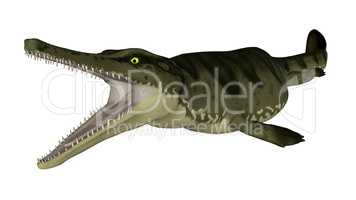 Metriorhynchus prehistoric fish - 3D render