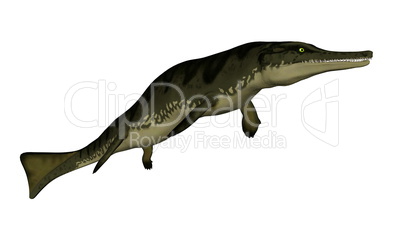 Metriorhynchus prehistoric fish - 3D render