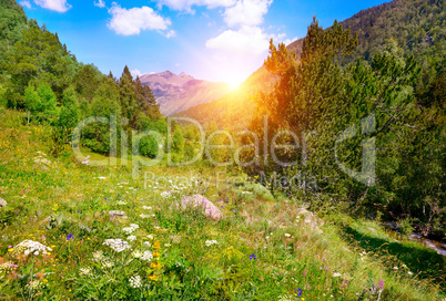 Beautiful sunrise in high mountains