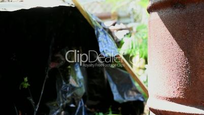Rusty oil barrel and junk in a garden. Slide left to right. Close up.
