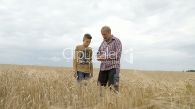 Farmer man and Boy walking trough Grainfield