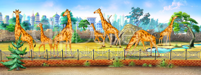 Giraffes in a Zoo full color illustration