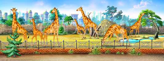 Giraffes in a Zoo full color illustration