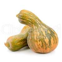 collection pumpkin isolated on white